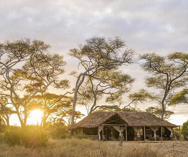 Why you must visit Tarangire National Park