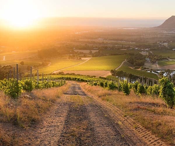 South Africa’s first varietal-based wine route