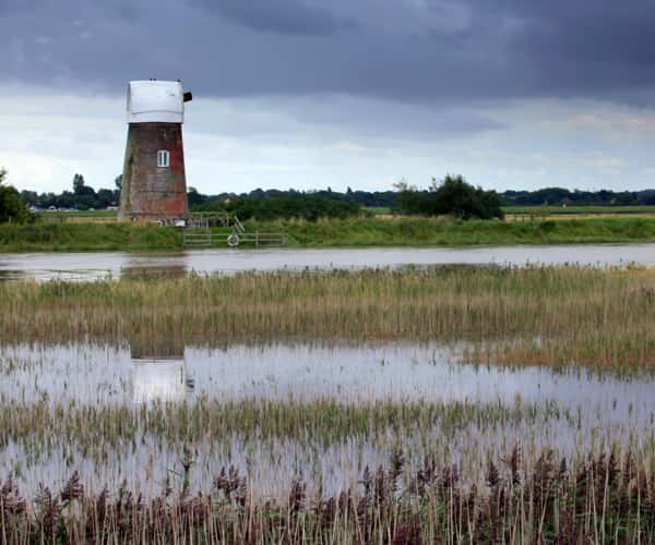 The Norfolk wetlands