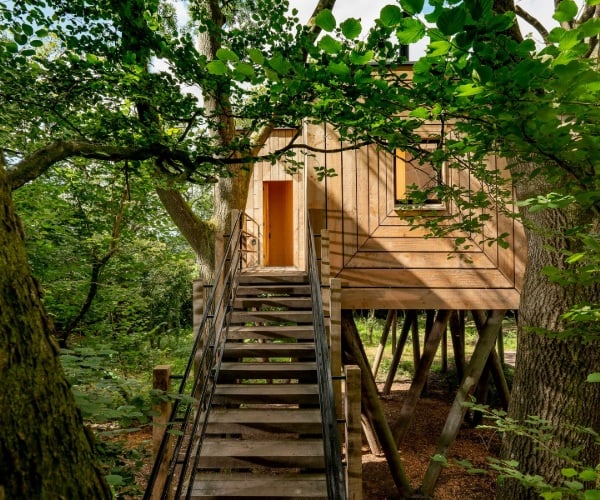 Are these the most luxurious treehouses in the UK?