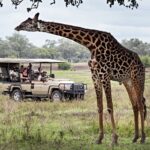 Sustainable safaris in South Luangwa
