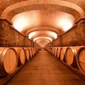 Top 13 design wineries in Tuscany: A fusion of art and taste