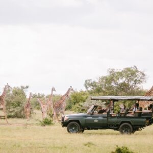 What makes a Kenyan safari a sustainable travel option?