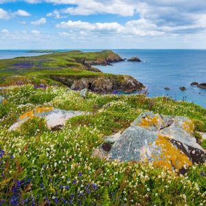 Why Ireland should be your next Summer destination
