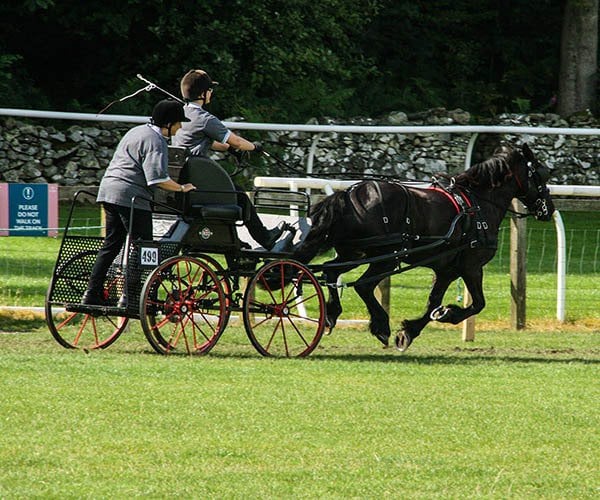 Cartmel Show