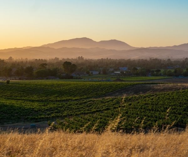 California Wine Country