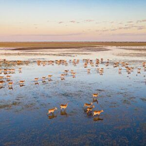 Zambia's beautiful Bangwelu Wetlands