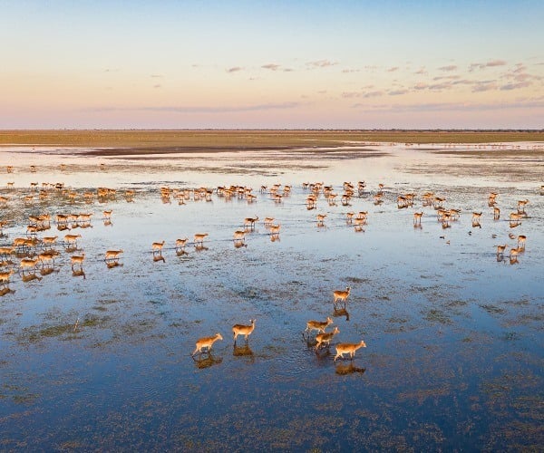 Zambia’s beautiful Bangwelu Wetlands