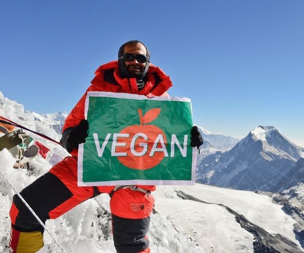 The first ever Himalayan Vegan Festival