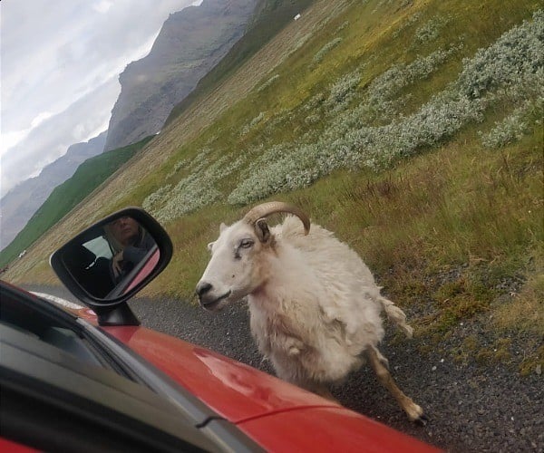 Driving in Iceland - what you need to know