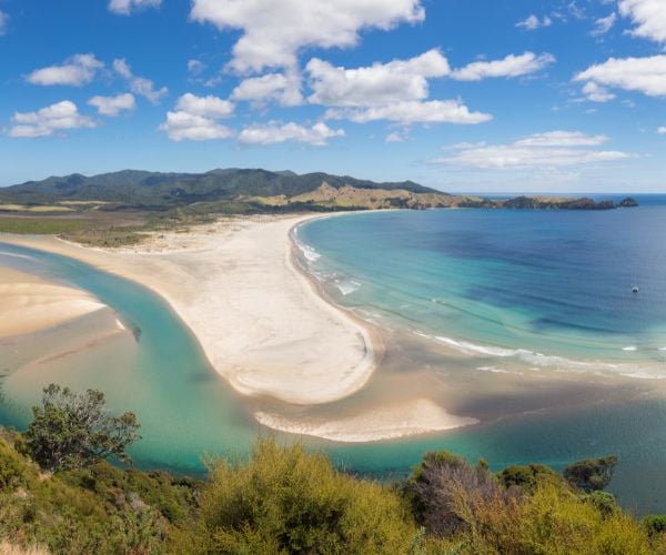 Aerial view of Great Barrier Island