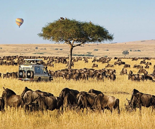 The 5 African National Parks that you have to visit in your lifetime!