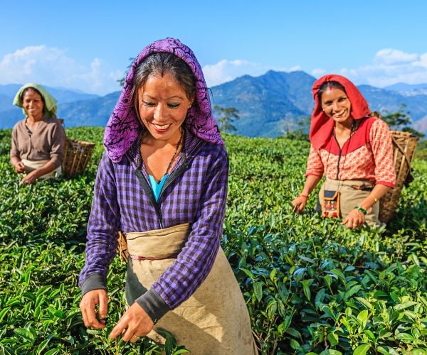Top 10 travel experiences to have in India in 2023
