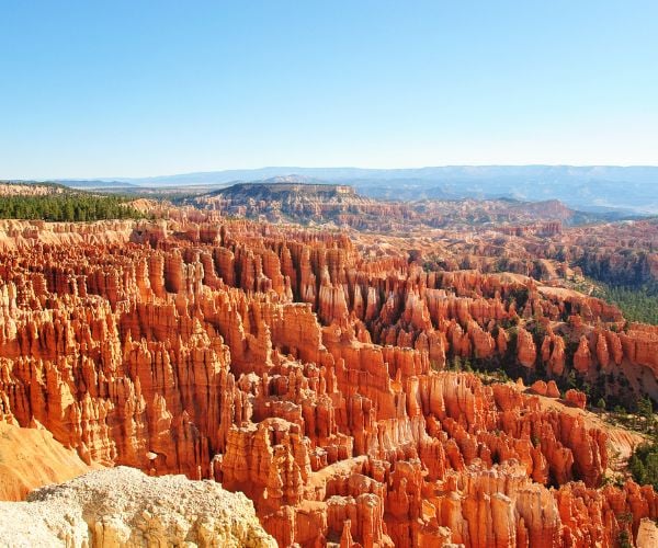 Brown rock structures at Bryce Canyon