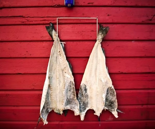 Some of the world's best seafood is at its best right now, plus the top 15 seafood restaurants in Fjord Norway