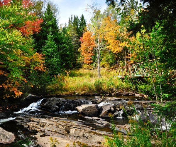 Autumn colours in New England