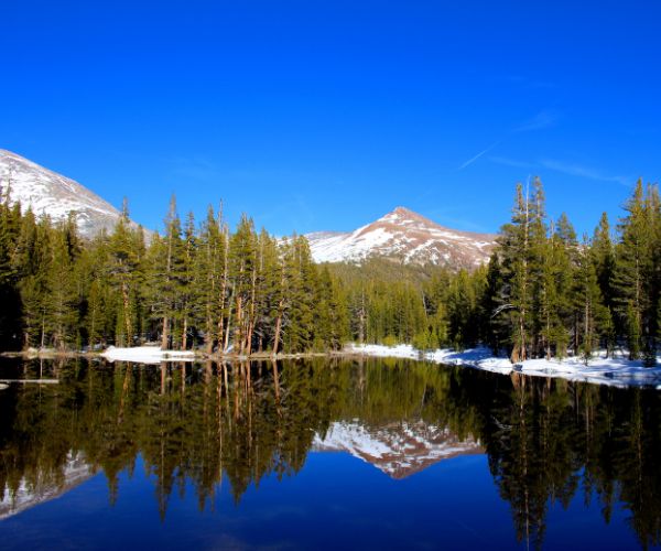 A lake surrounded by green forest and a snow capped mountain range
