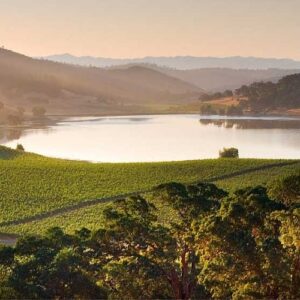 Six Senses Napa Valley will bring wellness and sustainability