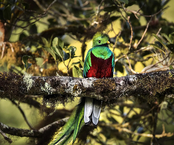 5 reasons to visit Untamed Costa Rica