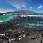 The 7 most stunning places to take photos in Galapagos