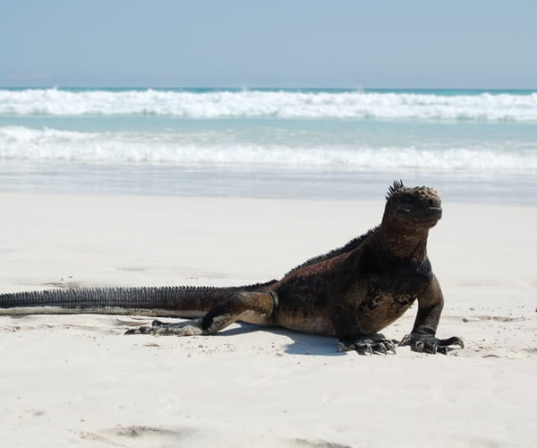 The 7 most stunning places to take photos in Galapagos