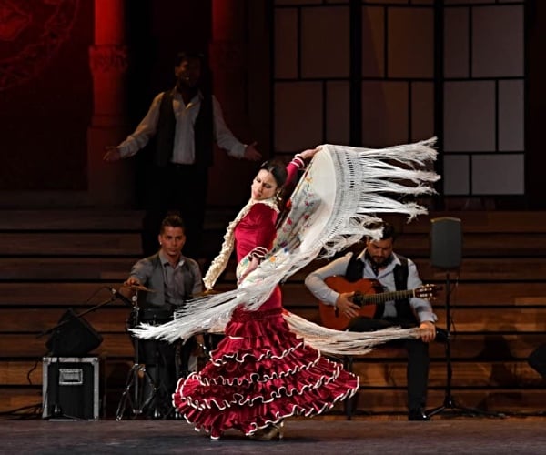 flamenco_bcn