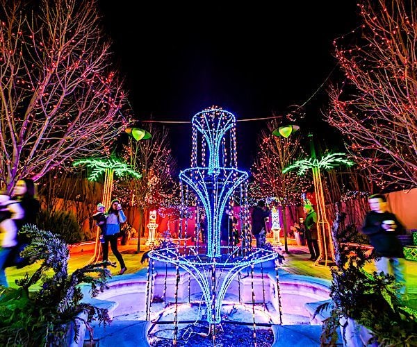 A botanic garden at night.