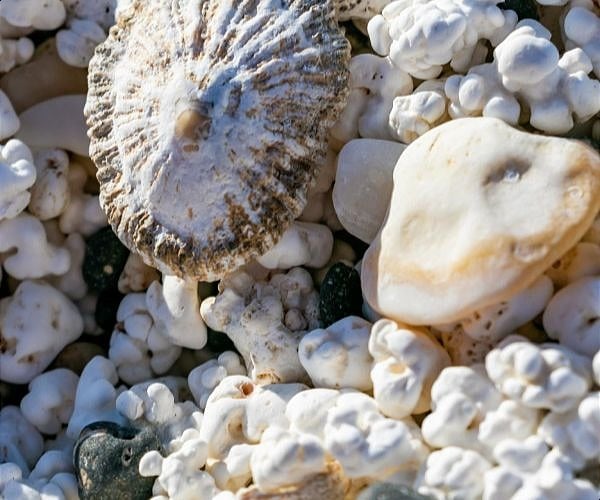 Popcorn beach in Fuerteventura: The story of a beach that went viral