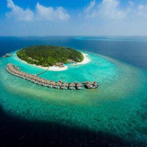 Dali Wish Tree: A gateway to your dreams in the Maldives