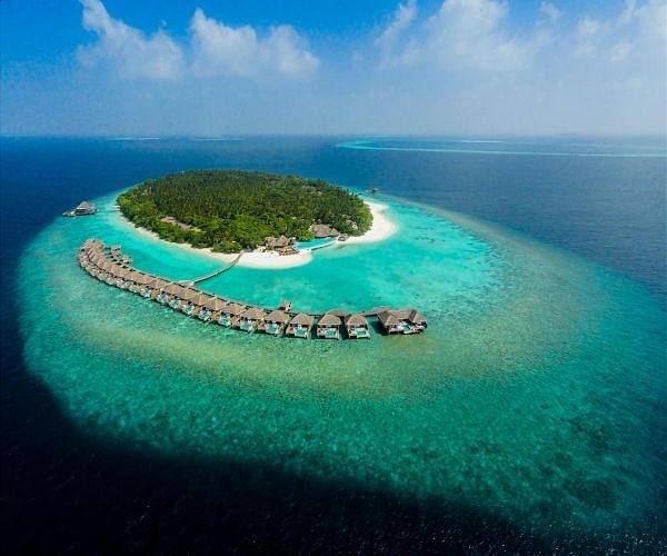 Dali Wish Tree: A gateway to your dreams in the Maldives