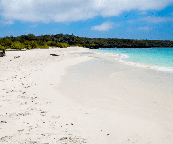 6 of the most beautiful beaches in Ecuador