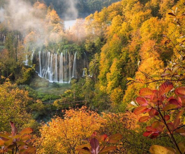A story of the forests of the Plitvice Lakes National Park