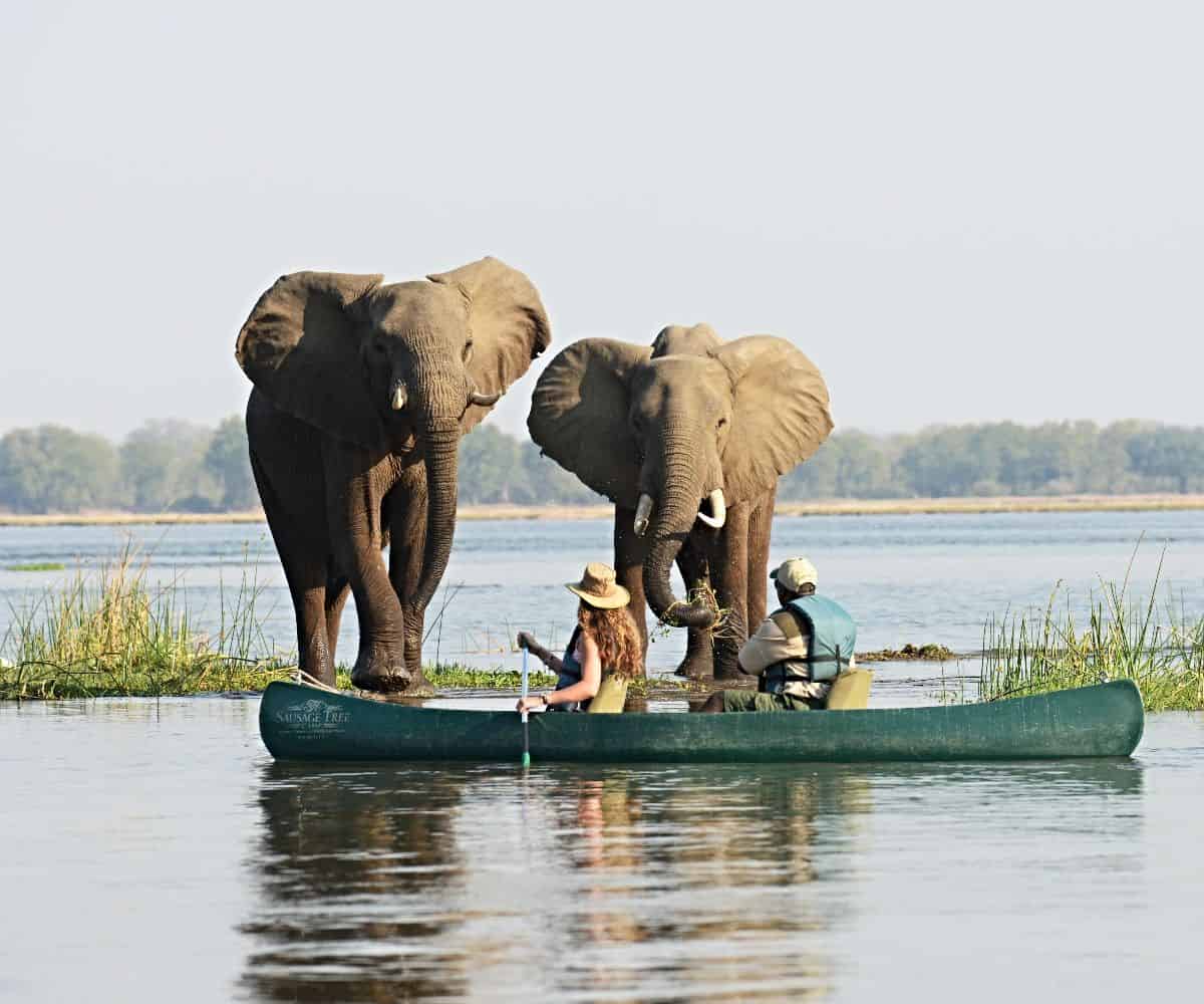 Top spots to safari in Zambia