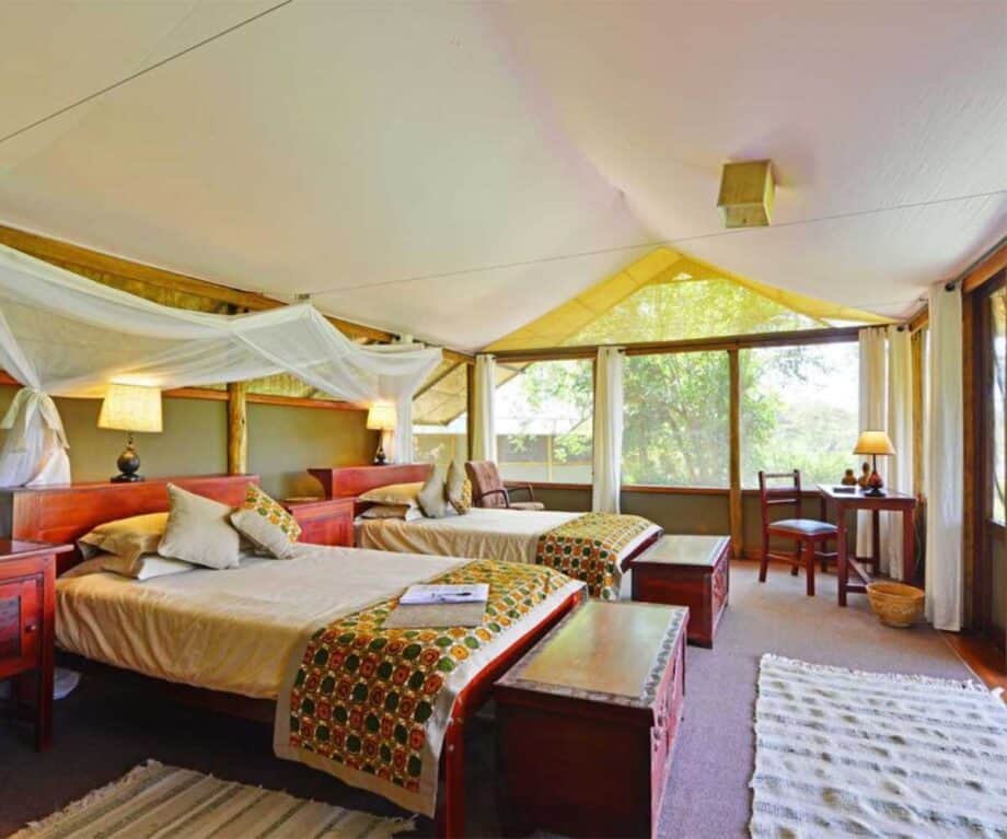The top 5 luxury lodges in Uganda for wildlife encounters like no other Ishasha room