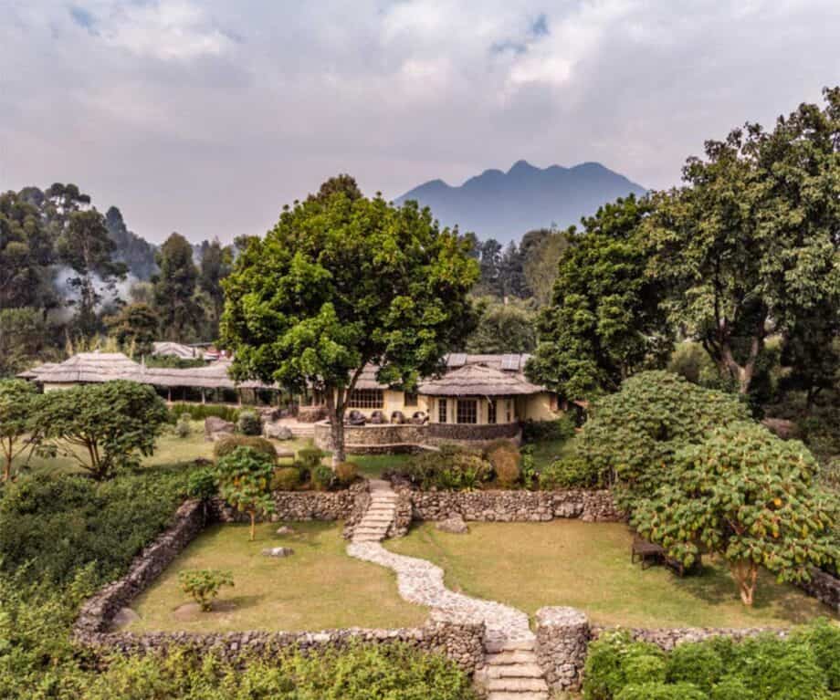 The top 5 luxury lodges in Uganda for wildlife encounters like no other Mount Gahinga lodge