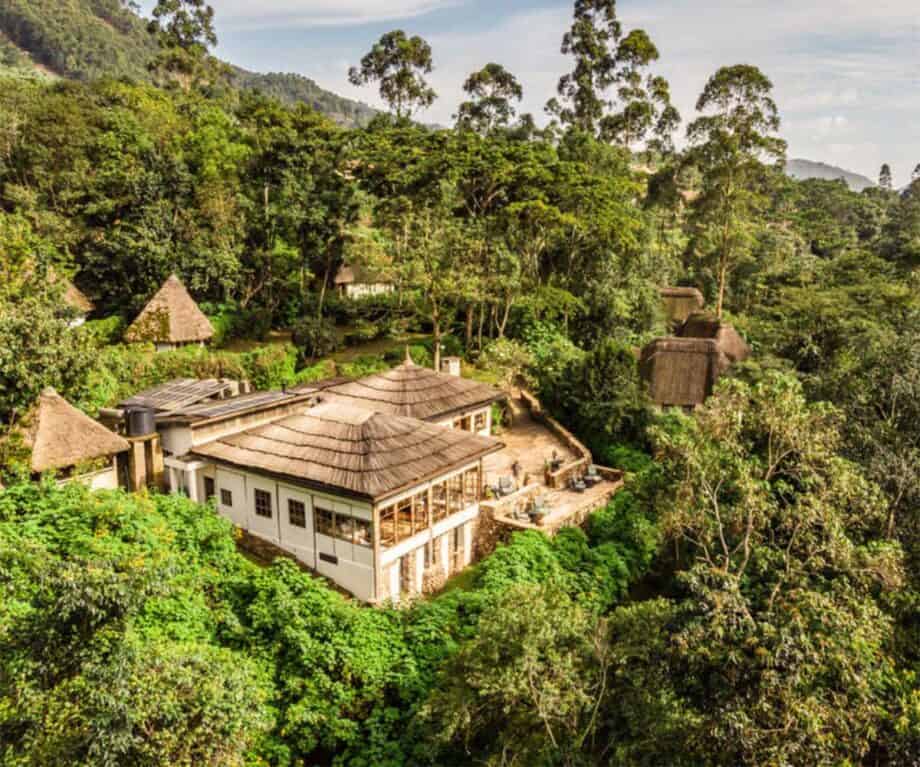 The top 5 luxury lodges in Uganda for wildlife encounters like no other Volcanoes Biwindi lodge