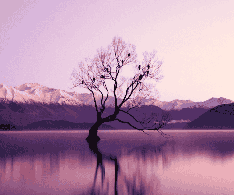 Slow luxury travel: New Zealand’s photography destinations