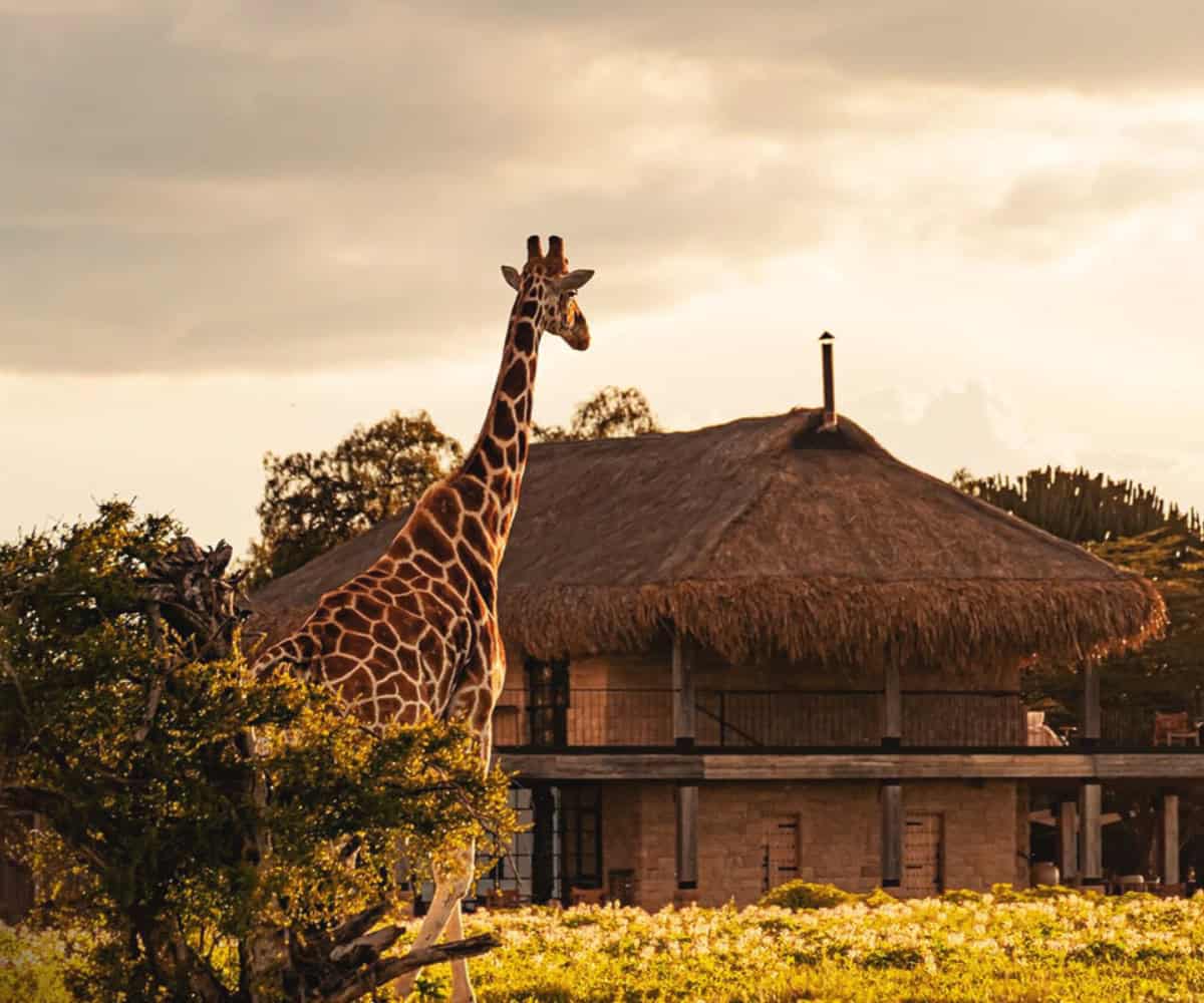 Top 5 family friendly stays in Kenya and Tanzania