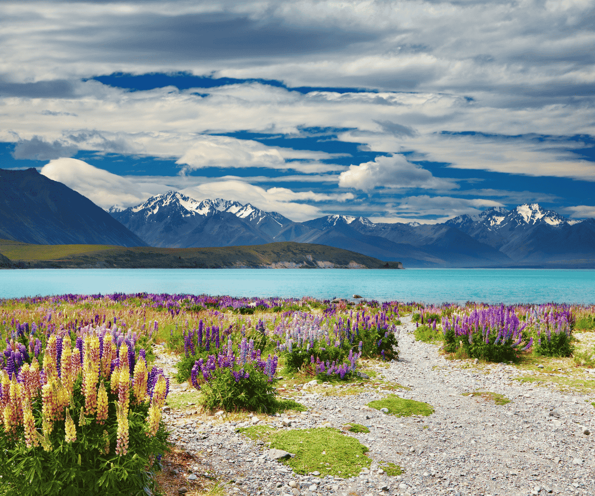 New Zealand as a destination for life’s meaningful moments