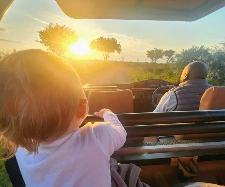 The anti-itinerary safari