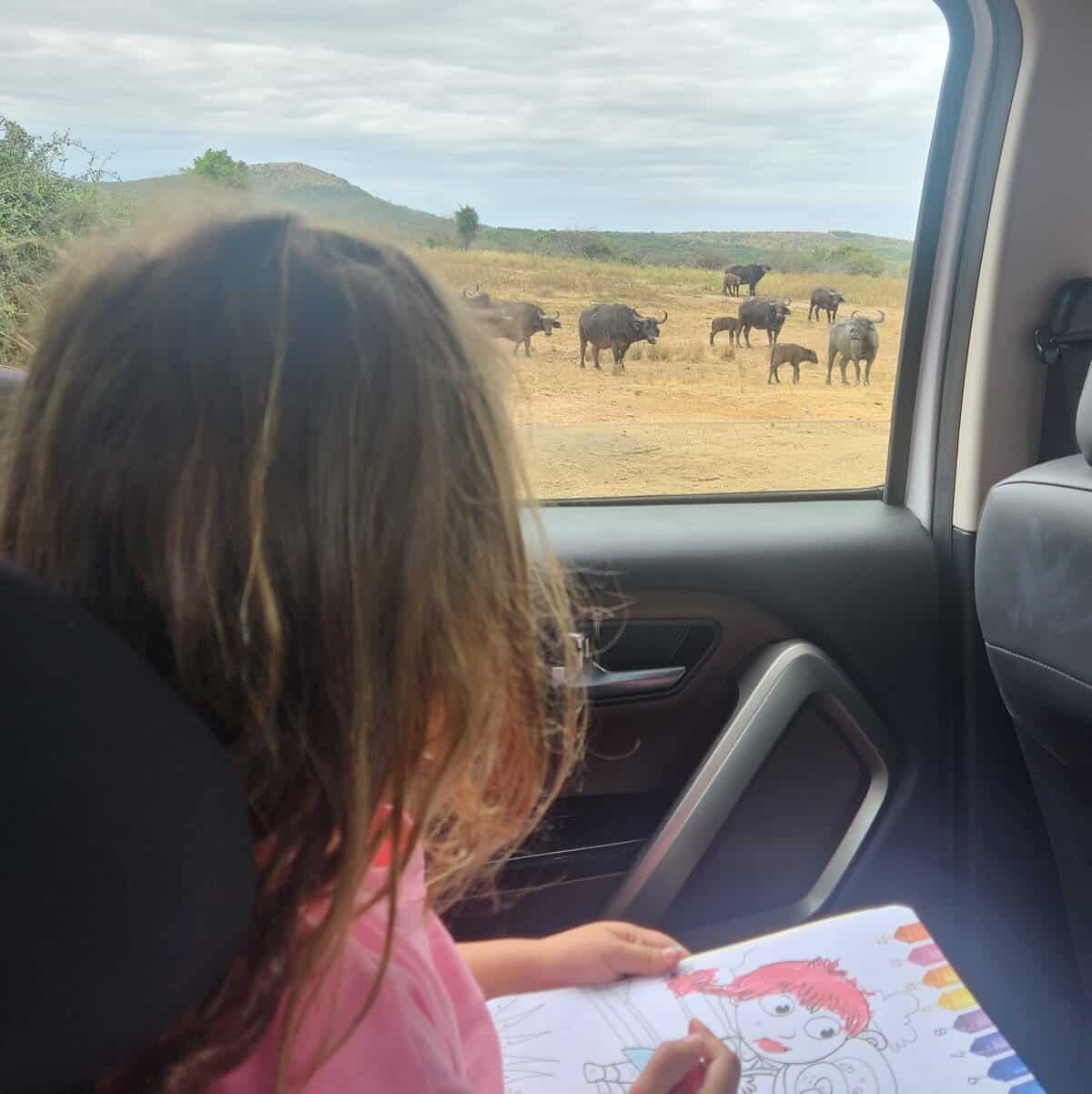 How one family is redefining the safari experience in St Lucia, South Africa