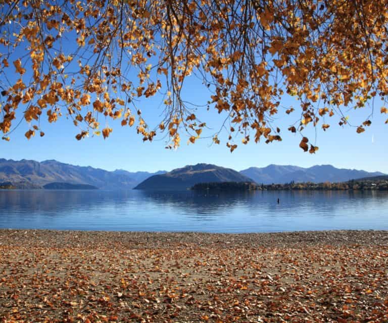 Autumn in Wānaka: New Zealand’s best-kept secret