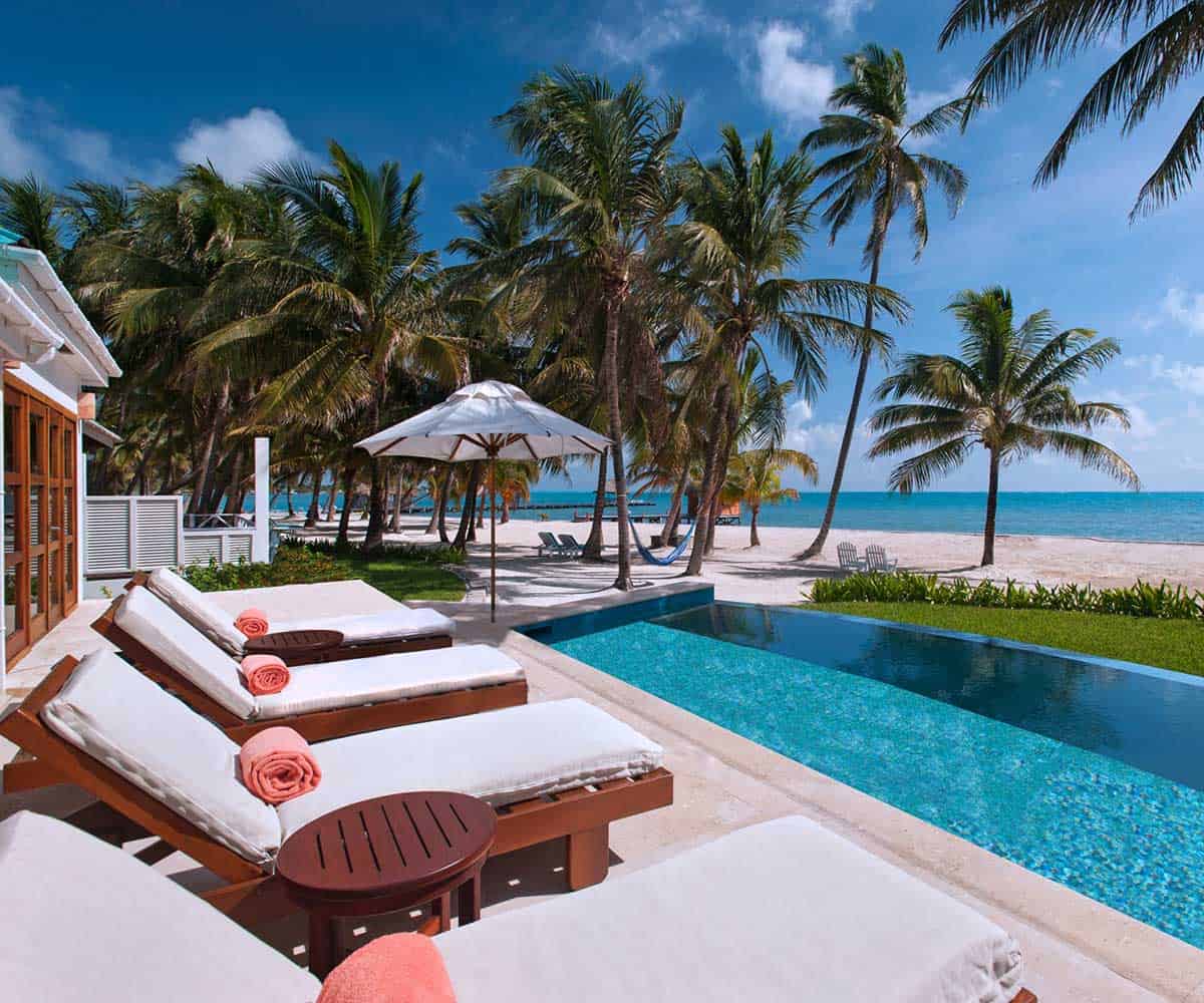 Top 5 off-the-beaten-track wildlife experiences in Latin America