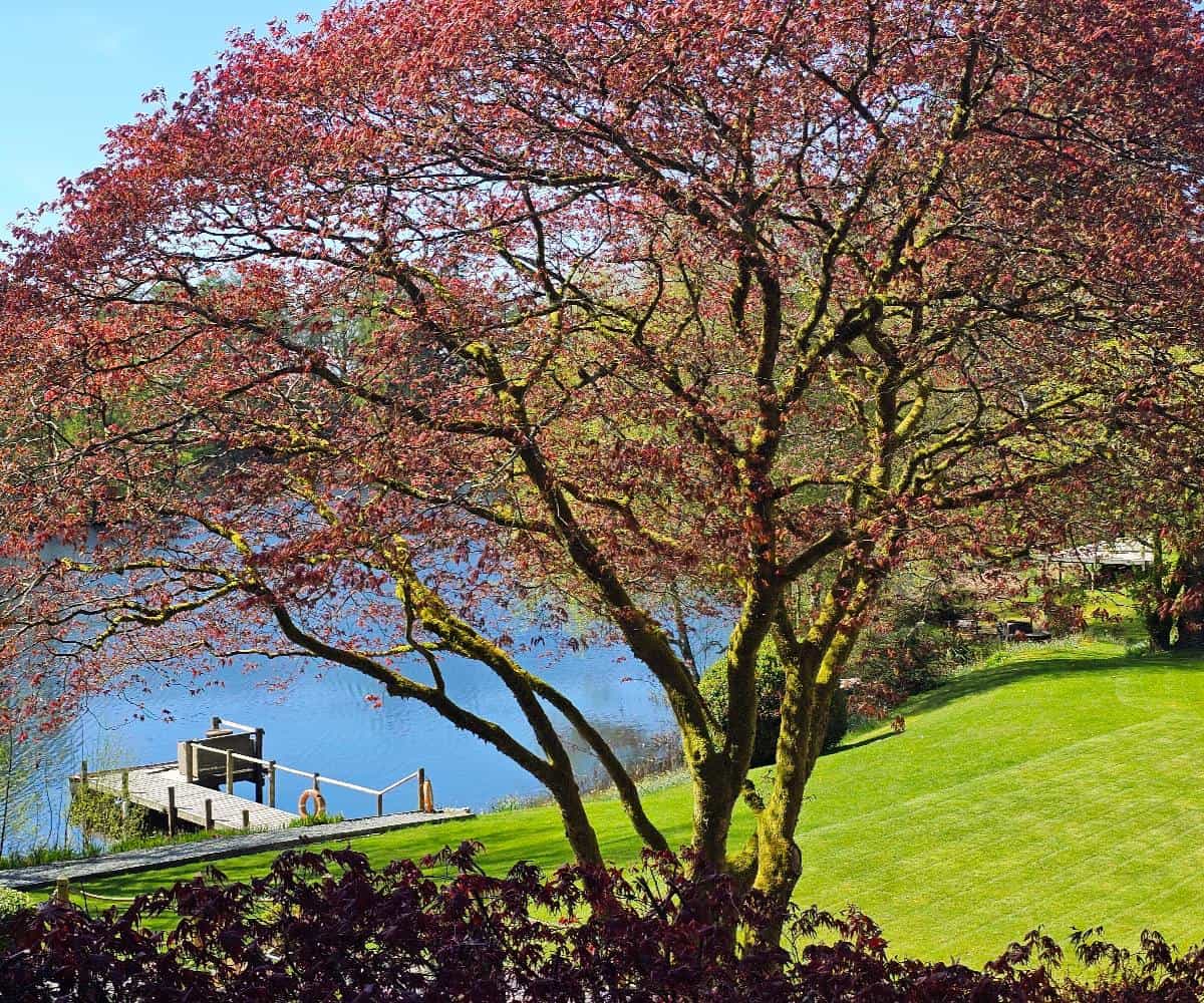 Review: Gilpin Hotel & Lake House, Near Windermere, Lake District, UK