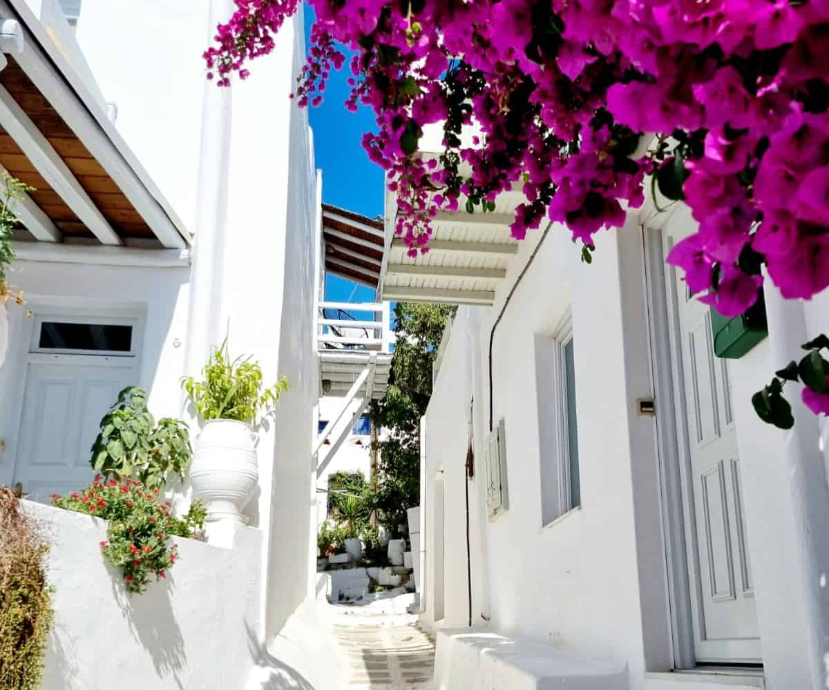 Renting a villa in Mykonos: What the platforms will never tell you