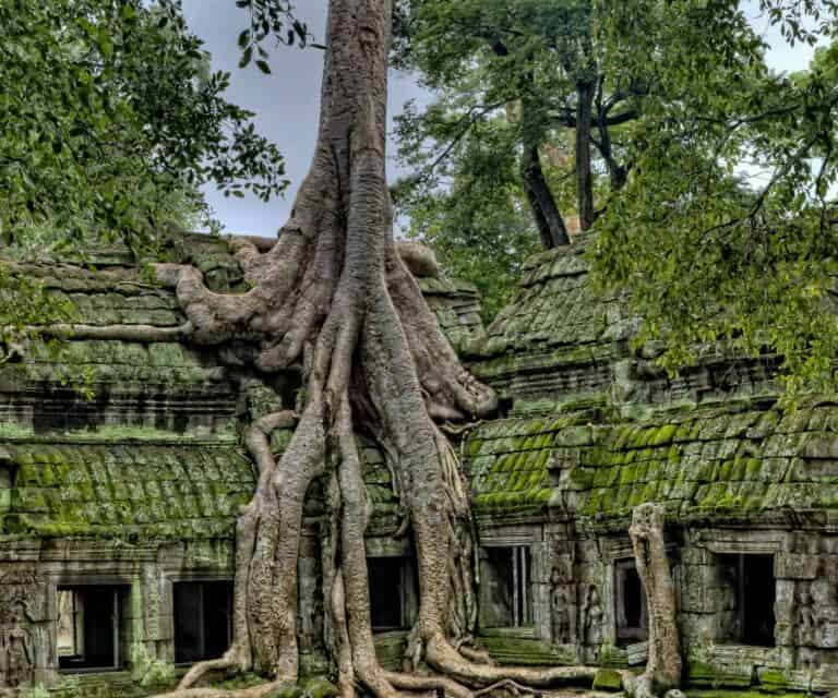 5 reasons Cambodia belongs on every luxury traveller’s bucket list