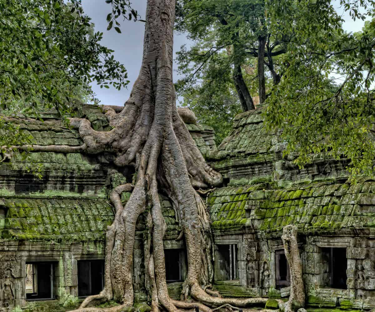5 reasons Cambodia belongs on every luxury traveller’s bucket list