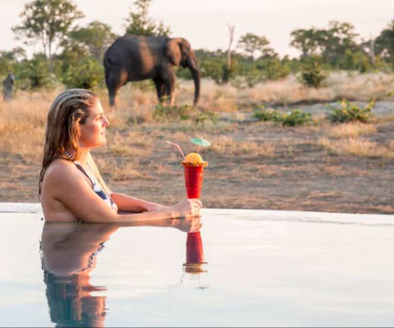 Why private concessions are changing the way we safari