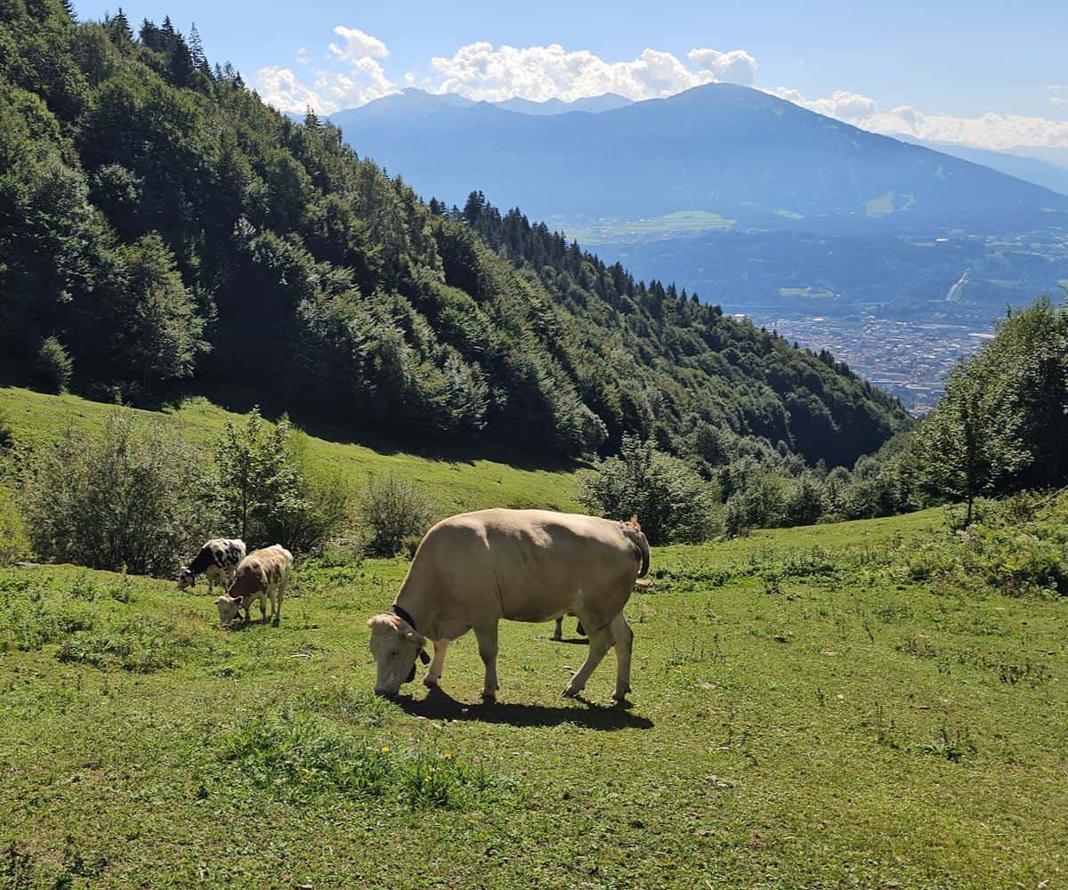 Exploring Innsbruck by E-Mountain Bike Turns the Nordkette Into a Family Ride