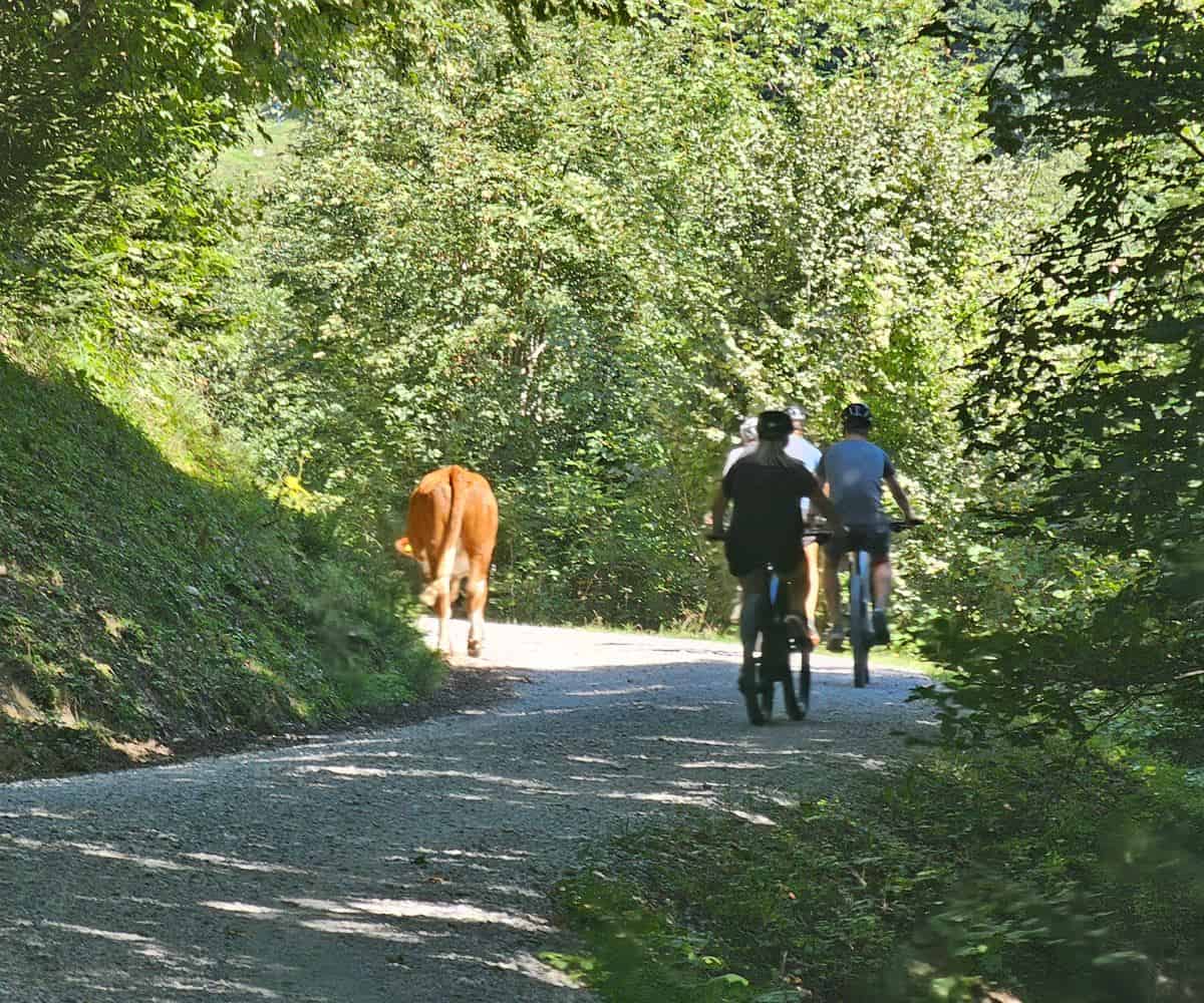 Exploring Innsbruck by E-Mountain Bike Turns the Nordkette Into a Family Ride
